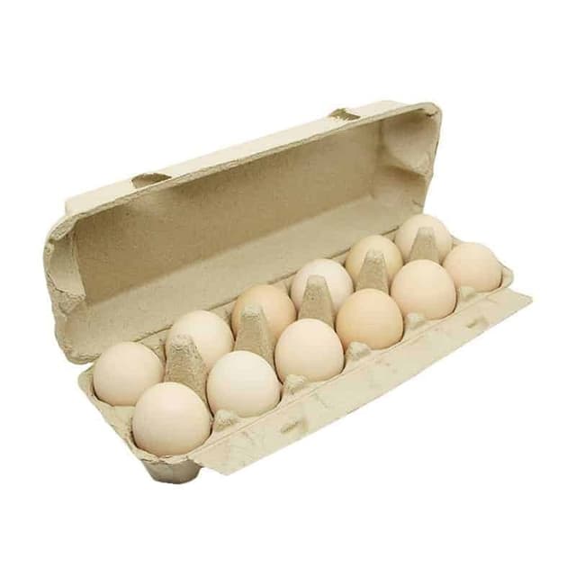 10+2 pcs Free Range Chicken Eggs