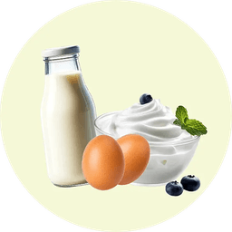 Dairy, Chilled & Frozen